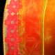 Wired Sheer With Mini Flowers 1.5 In 27 Yards Yellow/orange