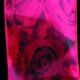 Wired Satin Double Face Roses 3 Inch 20 Yards Red