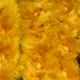 Chenille Fabric Deco Wire 1/8 Inch 55 Yards Gold
