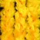 Chenille Fabric Deco Wire 1/8 Inch 55 Yards Yellow