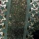 Wired Star Edge Sheer Rome 2.5 Inch 20 Yards Hunter