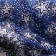 Wired Semi sheer Lots Of Stars 3 Inch 20 Yards Navy/silver