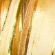 Wired Woven Elegant Lines 2.5 Inch 25 Yards Ivory/gold