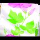 Wired Print Climbing Flower 2.5 Inch 20 Yards Pink