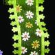 Wired Sheer Mini Daisy Edging 1.5 Inch 20 Yards Green