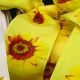 Wired Woven Taffeta Sunflower 1.5 Inch 27 Yards Yellow