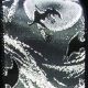 Black Wired Halloween Bats 2.5 Inch 20 Yards Black