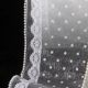 Pearl Wired Sheer Dots & Lace 4 Inch 20 Yards  White