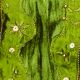 Wired Velvet Darjeling with Diamonds 4inch 10yards Green