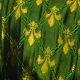 Wired Satin Fleur De Lis 2.5inch 20yards Green