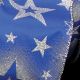 Wired Stars in Stars 2.5 inch 20 yards Blue