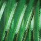 French Wired Gold Sheer Stripes 1.5 inch 27 yards Green
