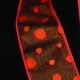 Wired Felt Dots on Sheer 1.5 Inch 20 Yard Orange