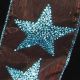 Wired Sheer with Sparkle Star 2.5 inch x 20 yards Brow