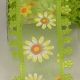 Wired Sheer Midi Daisies 1.5 inch 20 yards Light Green