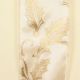Wired Poinsettia with Berries 2 inch 20 yards Ivory