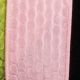 Wired Lizard Ribbon 1.5 inch 20 yards Pink