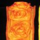 Wired Bunch of Roses Ribbon 1.5 inch 10 yards Orange