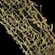 Wired Open Weave Natural 1.5 Inch 27 Yards Olive
