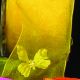 Wired Organza With Butterflies 2 3/4 Inch 17 Yards  Yellow