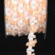 Woven Rococo Trim 5/8 inch 22 yards Peach/White