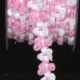 Woven Rococo Trim 5/8 inch 22 yards Pink/White