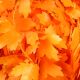 Wired Fall Maple Garland 3/4 Inch 27 Yards Orange