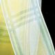 French Wire Plaid Organza 1.5 Inch 22 Yards Green/yellow