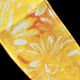 French Wire Blossom Sheer 1.5 Inch 22 Yards Orange/yellow