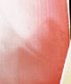 Wired Ombre Taffeta Ribbon 2 Inch 27 Yards Pink/white