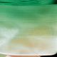 Wired Ombre Taffeta Ribbon 2 Inch 27 Yards Green/white