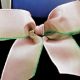 Wired Ombre Taffeta Ribbon 7/8 Inch 27 Yards Pink/green