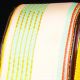 Wired Taffeta 