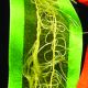 Wired Georgette  