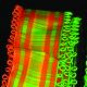Wired Tartan Pico Edge Taffeta 1.5 Inch 27 Yards Orange/green