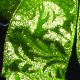 Wired Coppa Cobana Glitter 4 inch 20 yards Green
