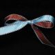 Double Sided Satin with Stitch Edge Blue/Brown 7/16