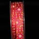 Red 5/8 inch 27 yards Inga's Print Satin Ribbon