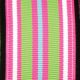 Wired Striped Grosgrain Ribbon 1.5 inch 27 yards Green/Pink