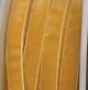 Soft Velvet 1 1/2 inch by 11 yards Gold Woven Edge