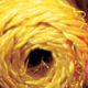 Braided Bacbac Rope 1/16 Inch 30-35 Yards  Yellow