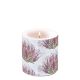 Calluna Candle Small