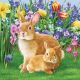 Mother Bunny Design
