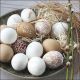 Eggs In Bowl Napkin Lunch