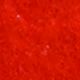 Felt Bunny Assortment Orange Sml/med/lge   8 Per Size = 24