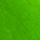 Felt Flower Stamped Out 6 Units Per Pack   Green