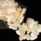 Small Satin Hearts 200 Pieces 1 inch Ivory
