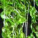 Deco Acrylic Flowers on Wire 11 Yards Light Green