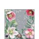 Helleborus Orientalis Grey Cocktail Napkin