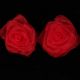 Small Red Sheer Roses Box of 72 